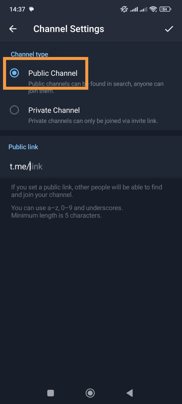 Configurações do canal com as opções "Canal público" e "Canal privado", e o campo de link ainda vazio